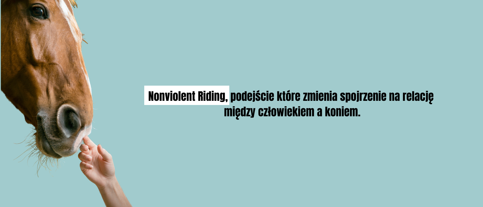 Jeździectwo bez przemocy